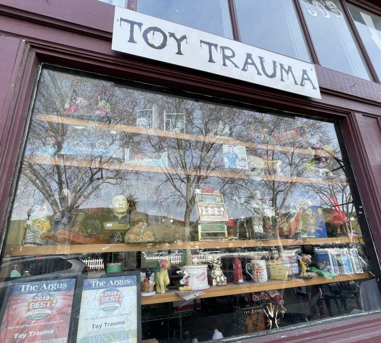 Toy Trauma (Fremont,&nbspCA)